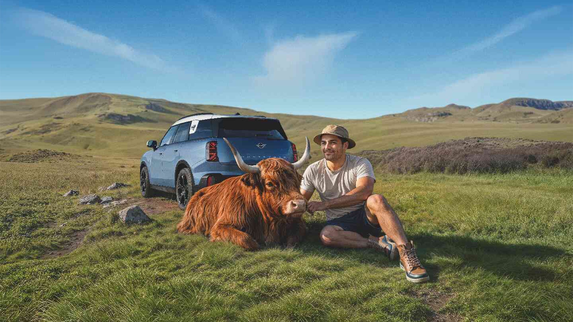 A MINI Countryman driving past a cow grazing peacefully nearby. With proactive care for relaxed driving.